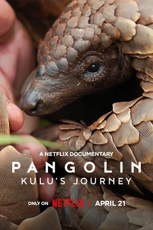 Download Pangolin: Kulu's Journey (2025) WebRip [Hindi + English] ESub 480p 720p